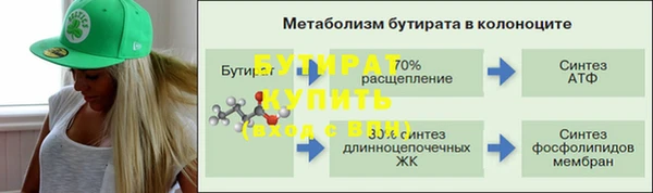 индика Богородск